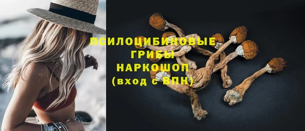 mdpv Магас