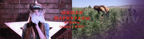 стаф Майский