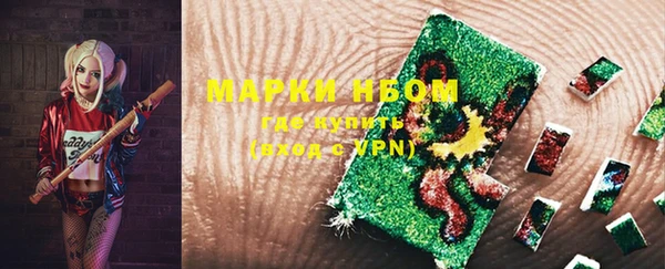 стаф Майский