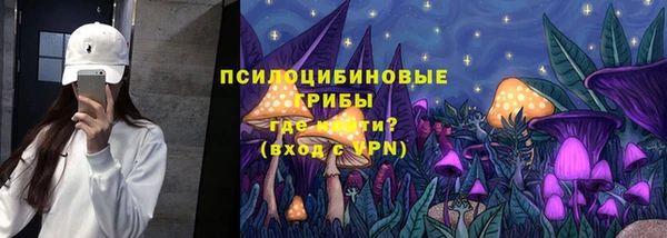 mdpv Магас