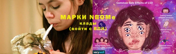 стаф Майский