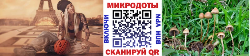 Галлюциногенные грибы прущие грибы  Каргат 